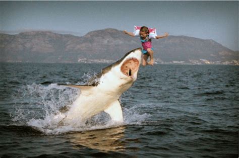 Just In Lorde Hopes Shark Eats Poser Beach Grit