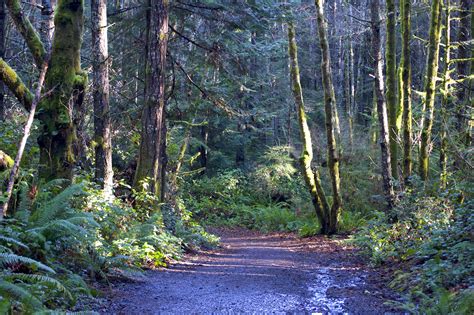 Hiking East Sooke Park On Vancouver Island 2019