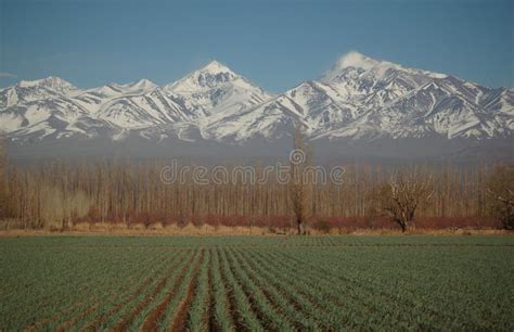 Green Field Before Snow Covered Mountain Tops Stock Photo Image Of
