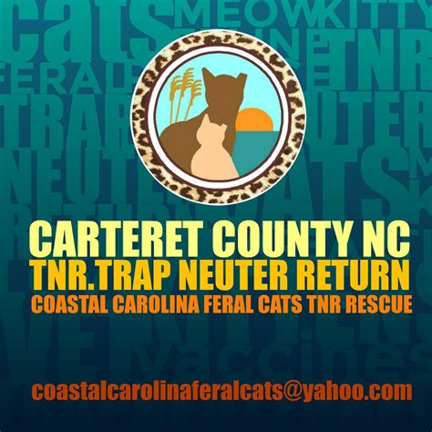 Pin by Coastal Carolina Feral Cats (T on CCFC Ads in 2020 | Coastal north carolina, Coastal ...