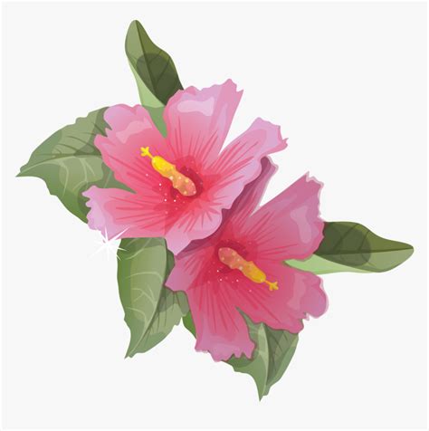 Hibiscus Animation Flower Clip Art Hibiscus Flower Transparent