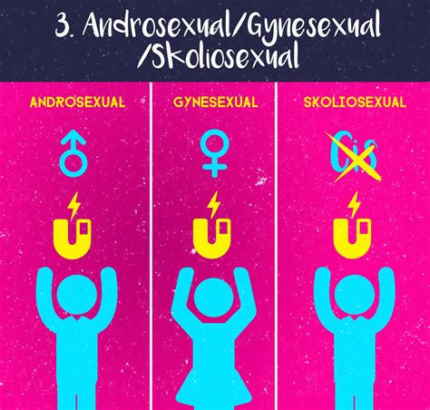 What Is The Difference Between Androsexual Gynosexual And Porn Sex