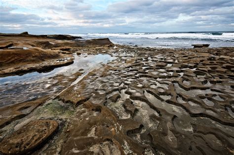 A Month Of San Diego La Jolla Tide Pools — Scott Davenport Photography