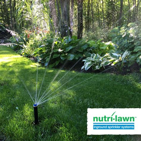 Mississauga Lawn Care And Weed Control Nutri Lawn