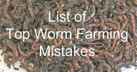 Worm Farm Business How To Make A Worm Farm Business Profitable