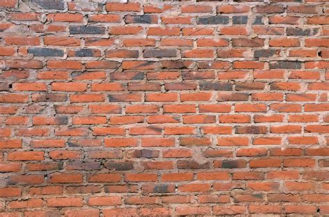 Wall Bricks Common · Free Photo On Pixabay