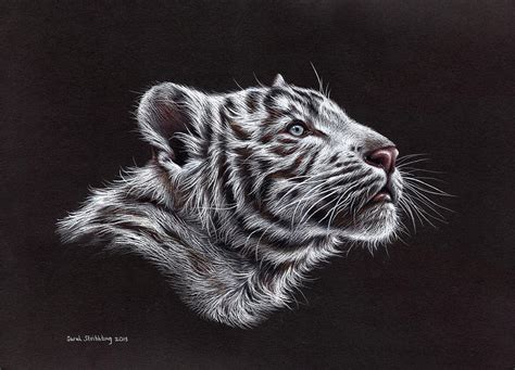 White Tiger Cub Painting By Sarah Stribbling