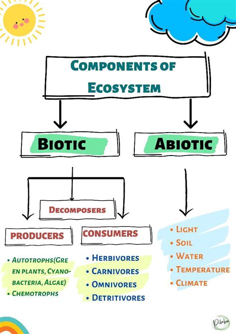 Components Of Ecosystem In 2022 Abiotic Ecosystems Biotic