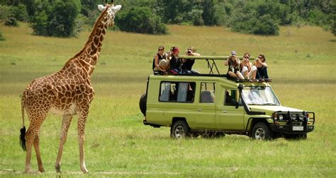9 Day Best Big Five Kenya Private Luxury Safari 4 X 4 Land Cruiser