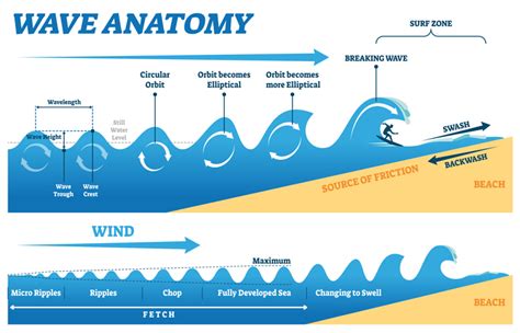 Water Wave Diagram
