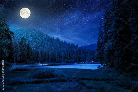 Lake Summer Landscape At Night Beautiful Scenery Among The Forest In