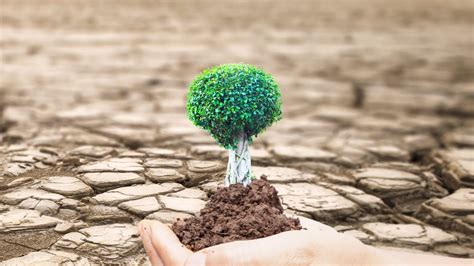 World Day To Combat Desertification And Drought 2022 Theme History