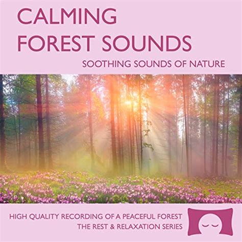 Calming Forest Sounds Cd Nature Sounds Recording For Meditation