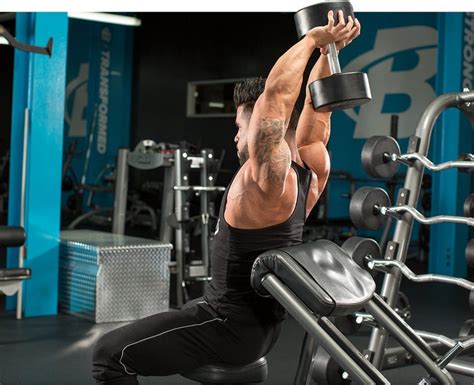 Overhead Dumbbell Triceps Extension Nasıl Yapılır Fitnessandbeast