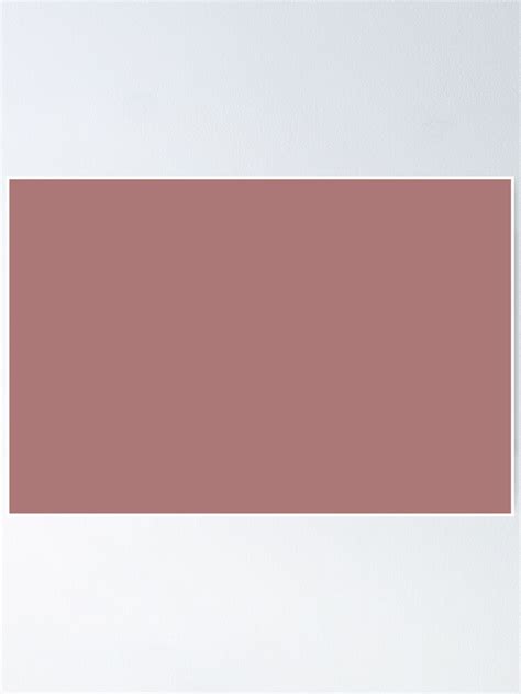 Medium Pink Solid Color Single Accent Shade Hue Coordinates W