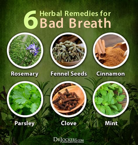 8 natural strategies to improve bad breath