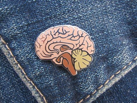 Brain Enamel Pin In 2021 Enamel Lapel Pin Medical Pins Lapel Pins