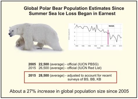 Global Polar Bear Population Larger Than Previous Thought ‚Äì Almost
