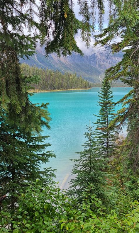A Naturally Framed View Of Emerald Lake British Columbia Canada No