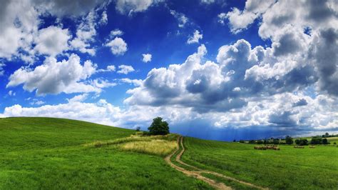 デスクトップ壁紙 日光 木 風景 自然 空 フィールド 雲 地平線 夏 ストロー パス 高原 草原 牧草地