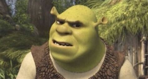 Ummm What Shrek Reaction Pictures Funny Reaction Pictures