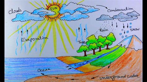 How To Draw Water Cycle Of A School Project Water Cycle Diagram