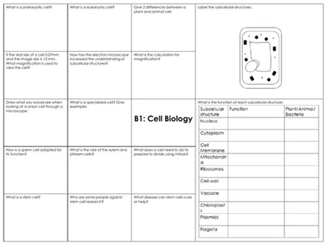 Gcse Combined Science Aqa B1 Cell Biology Revision Mat Teaching Resources