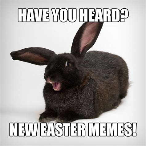 35 Hilarious Easter Memes That Will Make Any Bunny Laugh Funny Easter