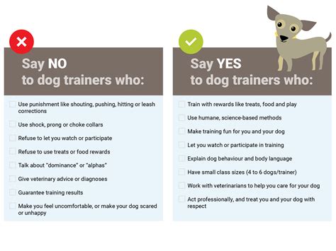 Choosing A Humane Dog Trainer Animalkind