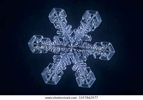 Real Snowflake Microscope Shot Stock Photo 1597862977 Shutterstock