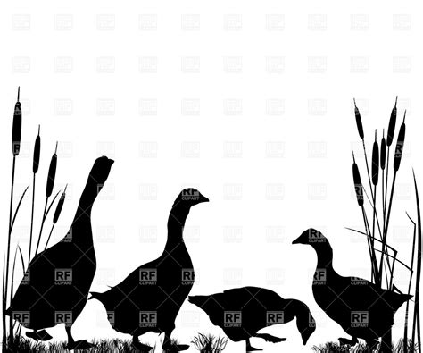 Canada Goose Silhouette At Getdrawings Free Download