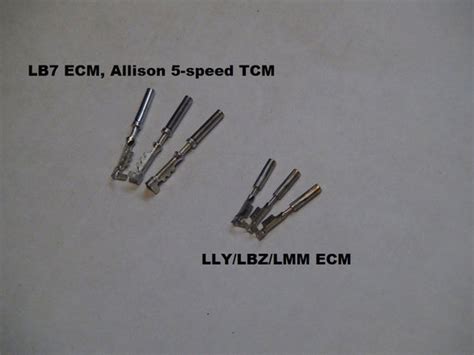 Allison Tcm Connector Pins Bt Dieselworks