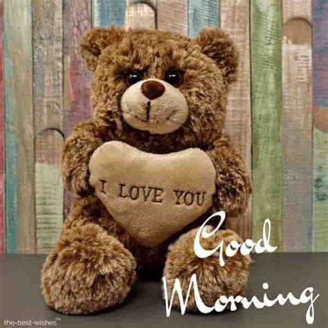 101 Cute Good Morning Teddy Bear Images Best Collection Teddy Bear