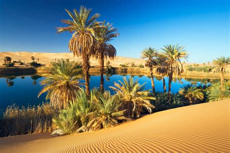 Why The Sahara Sea Doesnt Existyet Condé Nast Traveler