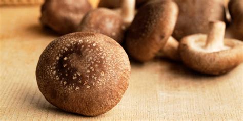 Hongo Shiitake Propiedades Y Beneficios