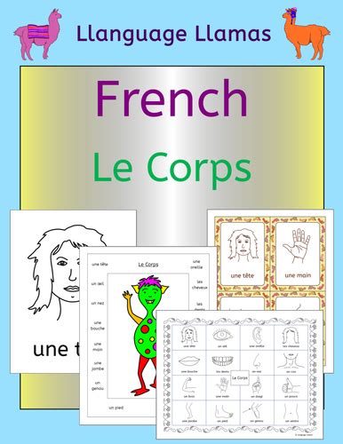 French Parts Of The Body Le Corps Teaching Resources