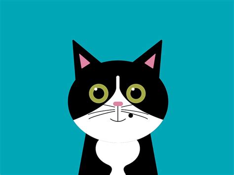 Kitty By Millie On Dribbble