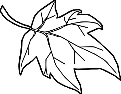 Fall Leaves Clip Art Coloring Pages 10 Free Cliparts Download Images