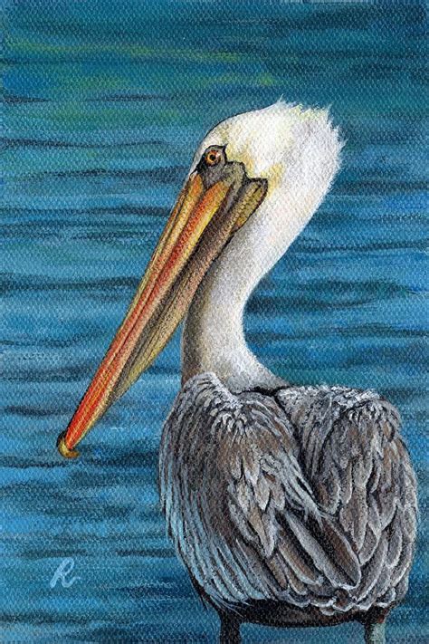 Florida Pelican By Peggy Dreher Pelican Art Bird Art Nautical Art