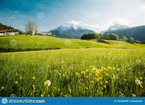 Idyllic Landscape In The Alps With Blooming Meadows In Springtime Stock