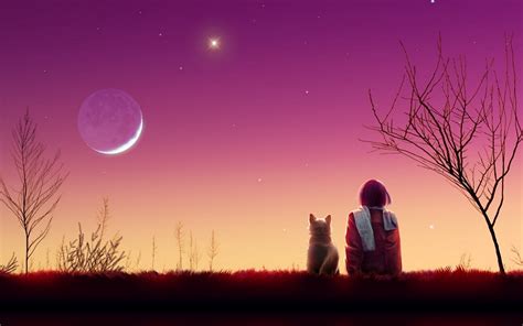 Anime Girl Watches The Sunset With Her Cat Hd Wallpaper 1920x1200 Hd