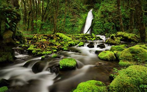 Free Download Hd Wallpaper Ruckel Creek Falls In The Columbia River