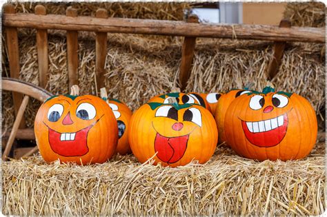 No Carve Pumpkin Decorating Ideas The Lakeside Collection