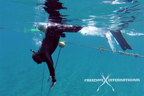 Freediving Training Tips 6 Duck Dive Like A Pro Freediveinternational