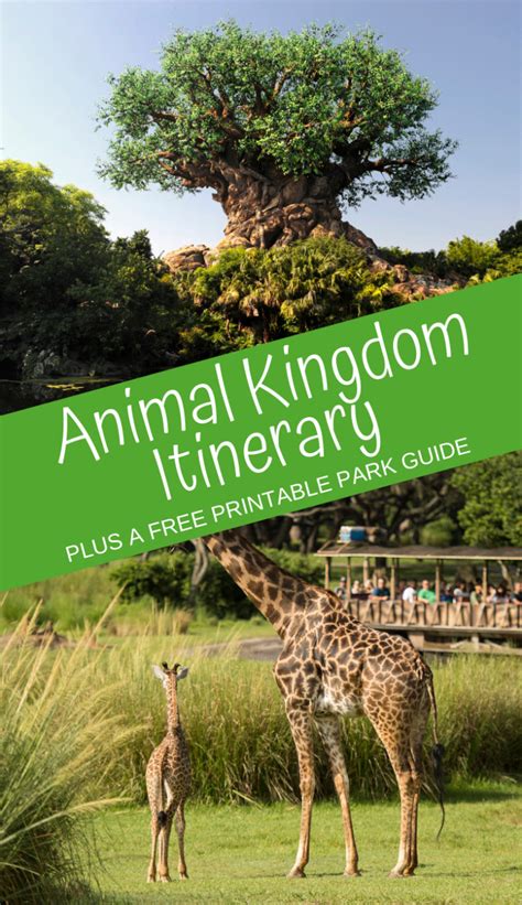 The Best Animal Kingdom Itinerary A Park Guide For Walt Disney World