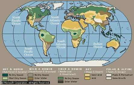 Tropical rainforest biomes are found in locations throughout the world in a band around the equator known as the tropics. biblestudying.net