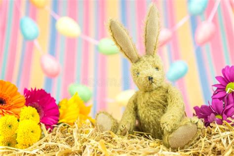 Easter Bunny Rabbit Fresh Flowers Eggs And Stripes Background Stock