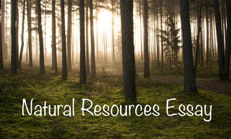Natural Resources Essay 300 Words Essay On Natural Resources