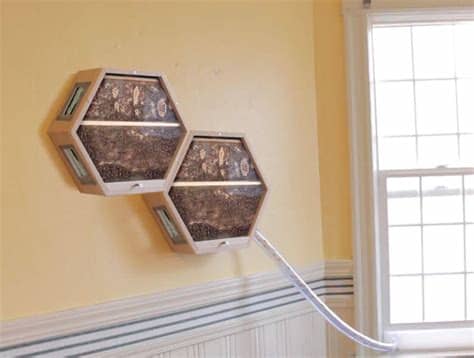 .tu casa abeja, puedes convertirla en tu casa, en un almacén o incluso tener a unas abejas aquí y para terminar con nuestra casa de abeja solo nos queda añadirle un aguijón, que por suerte esta no. Colmenas modulares para observar las abejas dentro de casa ...