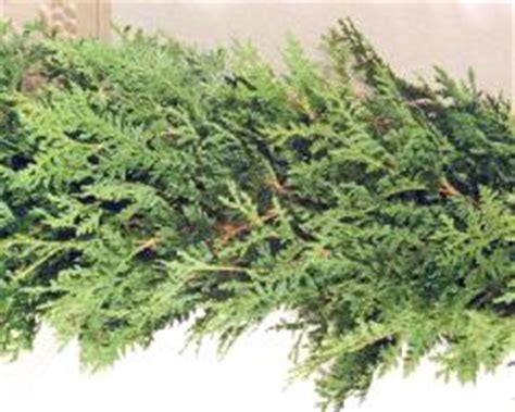 Check out our garland rope selection for the very best in unique or custom, handmade pieces from our wall hangings shops. Christmas Garlands to decorate - Crete Plantations inc.